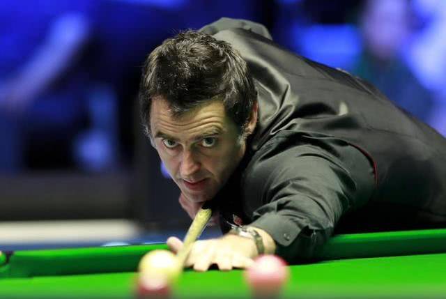 毛球在全球 毛球在全球