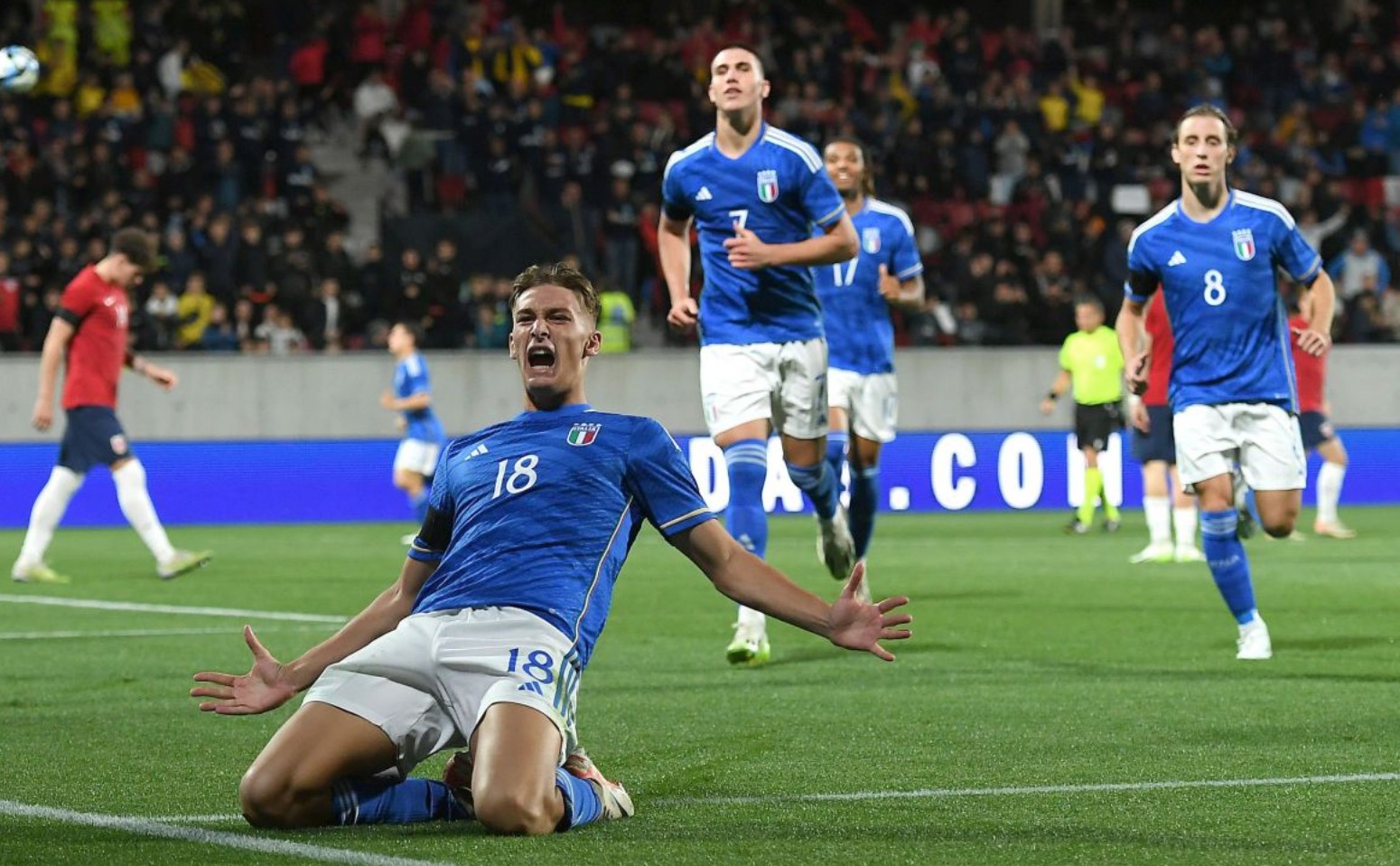 他选择不下 他选择不下